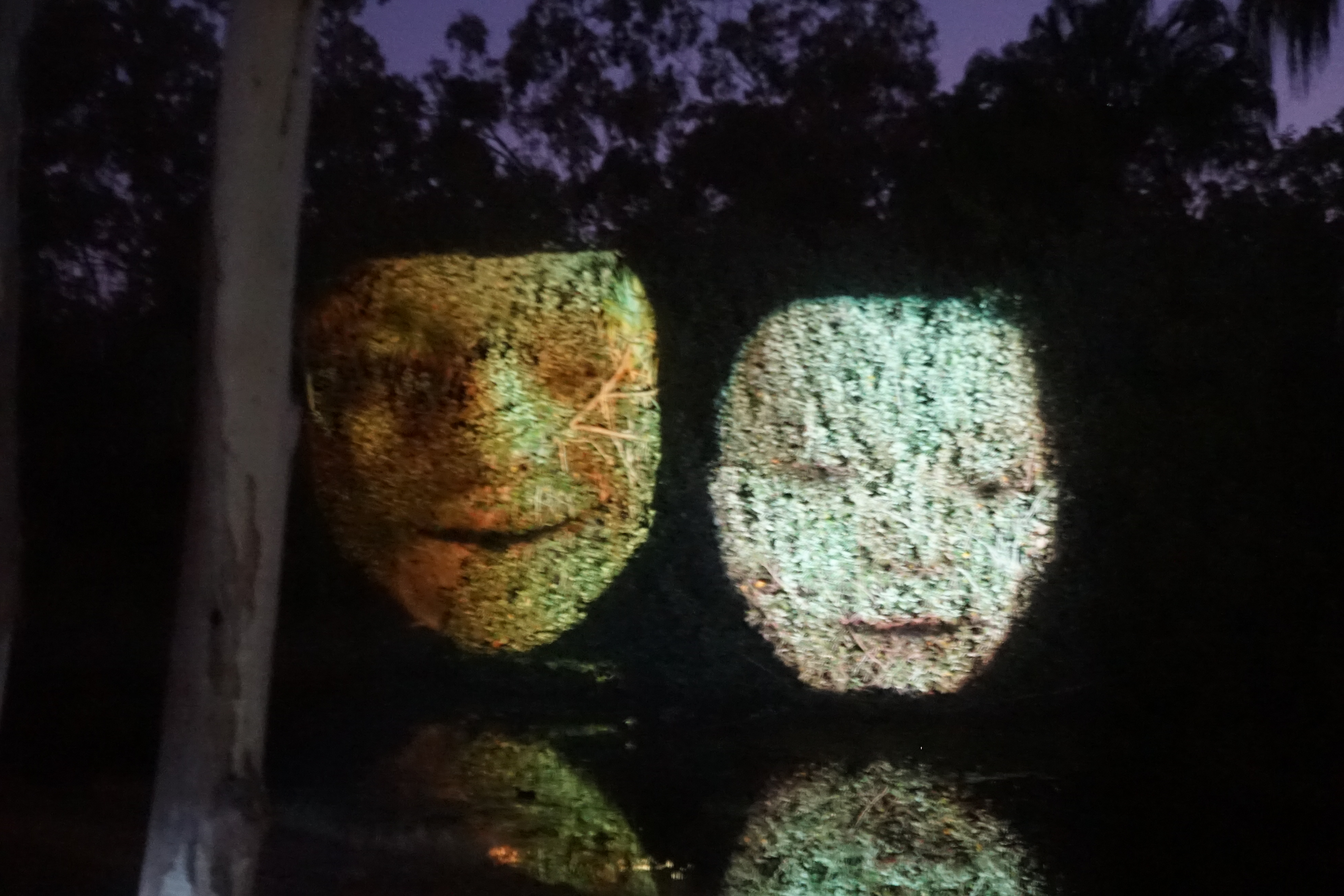 WE:\Triad installation